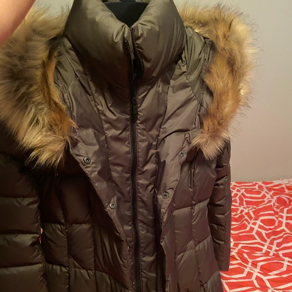 The north face coat